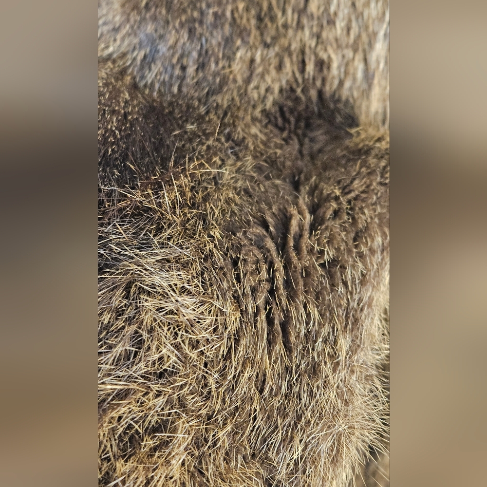 Vintage Fur Jacket Brown Fur Coat - Picture 15 of 16